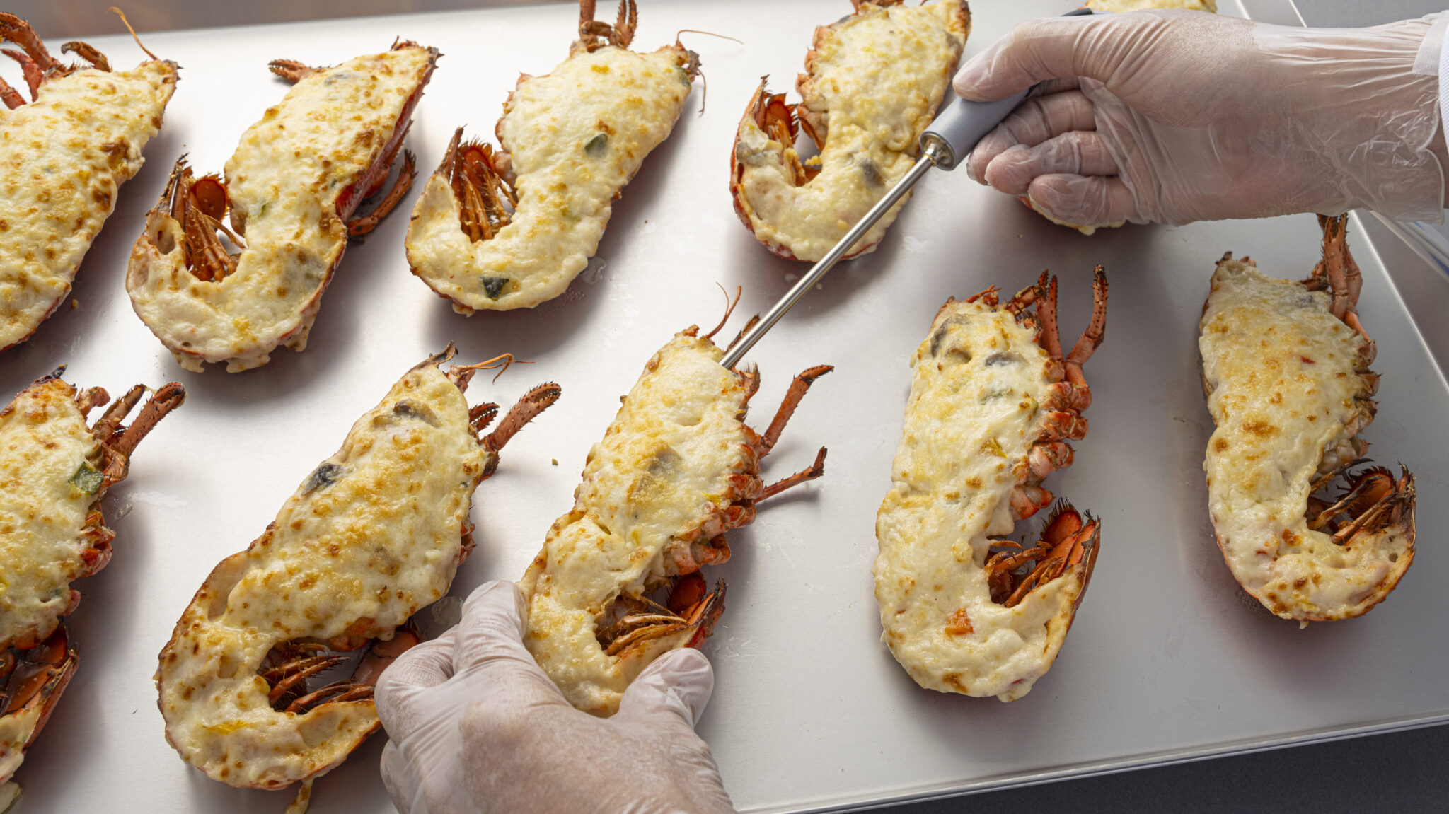 エビグラタンの芯温をセンサーで測定する様子｜業務用急速冷凍機3Dフリーザーによる品質検証