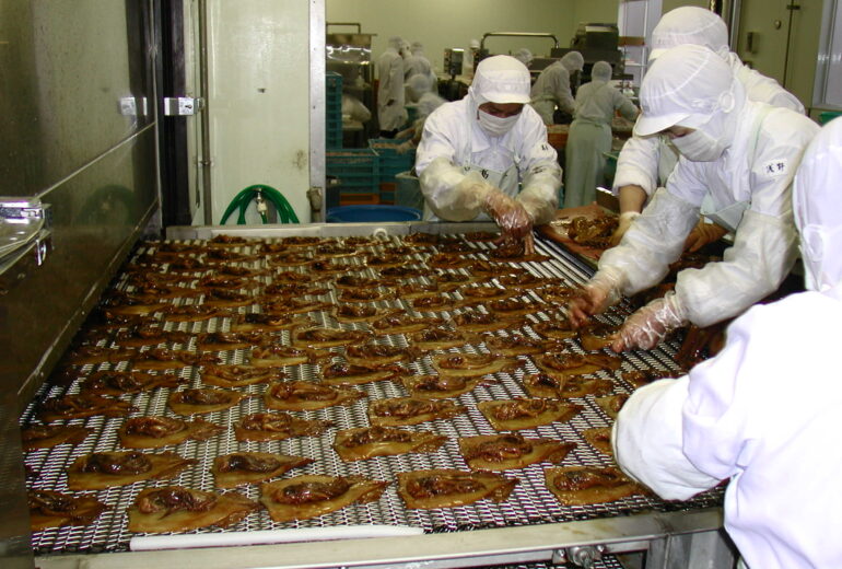 トンネルフリーザーコンベアに食材を並べる作業｜IQFのための前処理工程