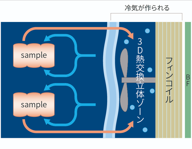 3Dフリーザーの冷却構造図|立体冷気循環による高効率熱交換の仕組み