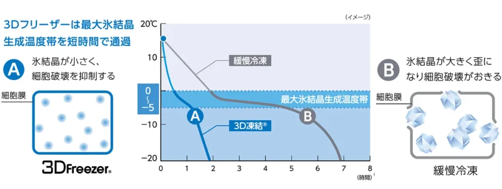3Dフリーザーと緩慢冷凍の温度変化を比較し説明している図