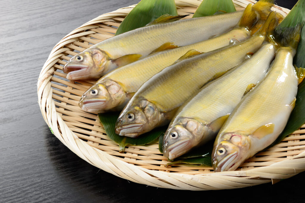 竹ざるに並べられた新鮮な鮎