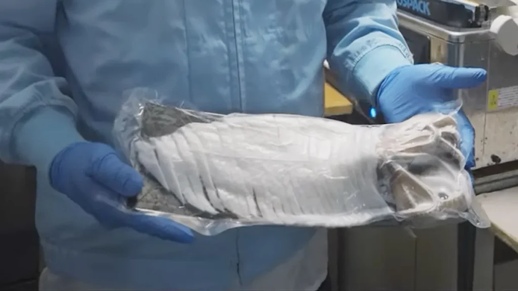 真空パックされた高級イカの急速冷凍処理｜有限会社梅乃葉様導入事例