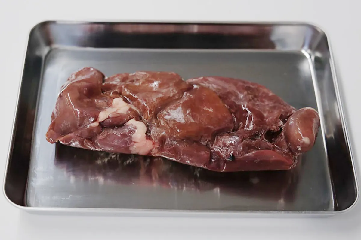 ステンレスバット中央に重なって置かれた赤褐色の鶏レバー。表面に薄い霜が見え、白い脂肪部分と濃淡のある切り口が写る