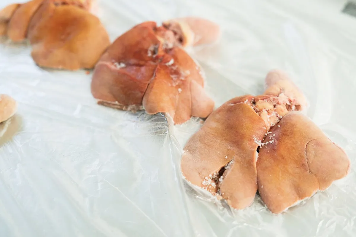 透明シートの上に間隔を空けて置かれた淡い褐色の鶏レバー。表面と切れ目の周辺に白い霜が付いている