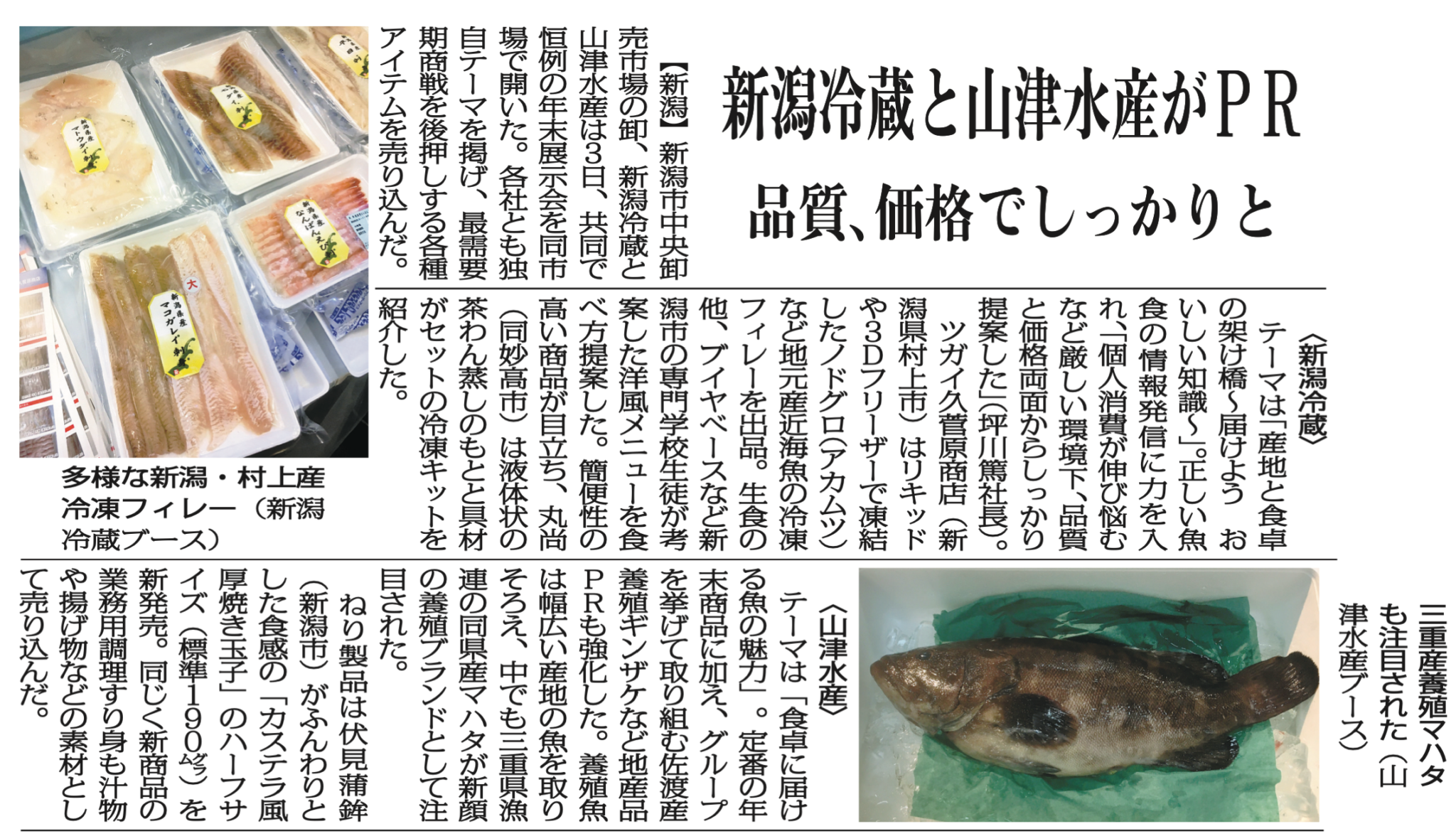 新潟冷蔵と山津水産の年末展示会PRを報じる記事の全体スキャン。トレー詰めの村上産冷凍フィレーと、氷上の三重産養殖マハタの写真入り