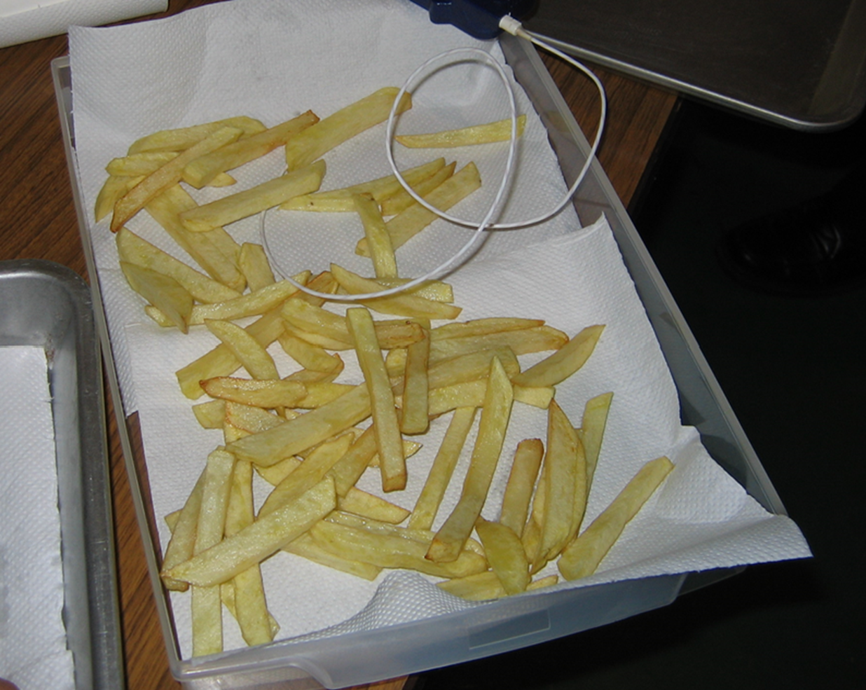 うすい黄色に揚がったストレートカットのフライドポテトを、キッチンペーパーを敷いた透明な容器に重ならないよう広げ、中心温度を測る白いセンサーを差し込んだ冷凍前の実験風景