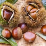 いがに包まれた栗と葉が並ぶ秋の栗の写真｜急速冷凍で一年中美味しく保存できる栗