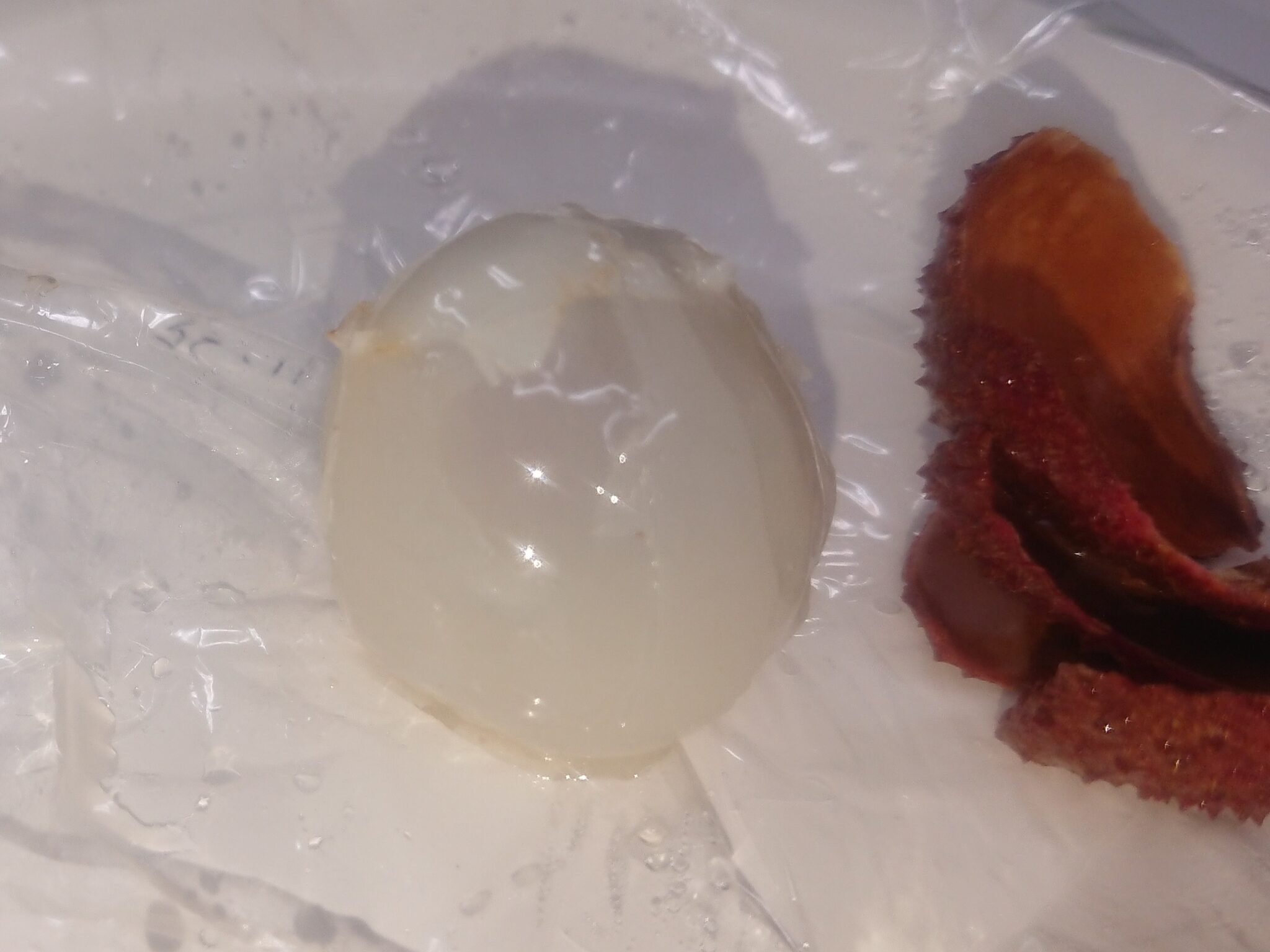解凍後に皮をむいた生ライチの果肉|白く透き通ってつやのある果肉と、はがした赤い果皮が並ぶ様子