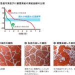 急速冷凍と緩慢冷凍の比較図（氷結晶の大きさと細胞ダメージの違い）