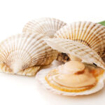 ホタテガイの冷凍保存方法｜鮮度を保つ下処理と美味しく解凍するコツ