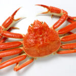 画面いっぱいのズワイガニ