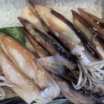 新鮮なスルメイカが氷の上に並ぶ｜冷凍保存・下処理・鮮度保持のイメージ