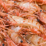 新鮮なボタンエビが並ぶ冷凍保存前の写真
