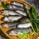 新鮮なニジマスを竹ざるに並べた写真｜美味しく冷凍保存するための下処理のポイント