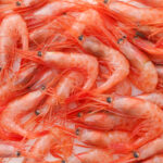 甘エビの鮮やかな盛り合わせ｜新鮮な海の幸・水産加工・冷凍保存イメージ