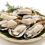 殻付きの新鮮な牡蠣を盛り付けた写真｜冷凍保存で鮮度と旨味を保つ海の幸