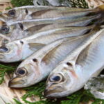 氷を敷いた竹ざるに並べられた新鮮なアジ（鯵）｜魚の鮮度を保つ冷凍保存イメージ