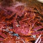 北海道の市場で水槽に並ぶ新鮮な花咲ガニ｜鮮度を保つ冷凍保存のイメージ写真