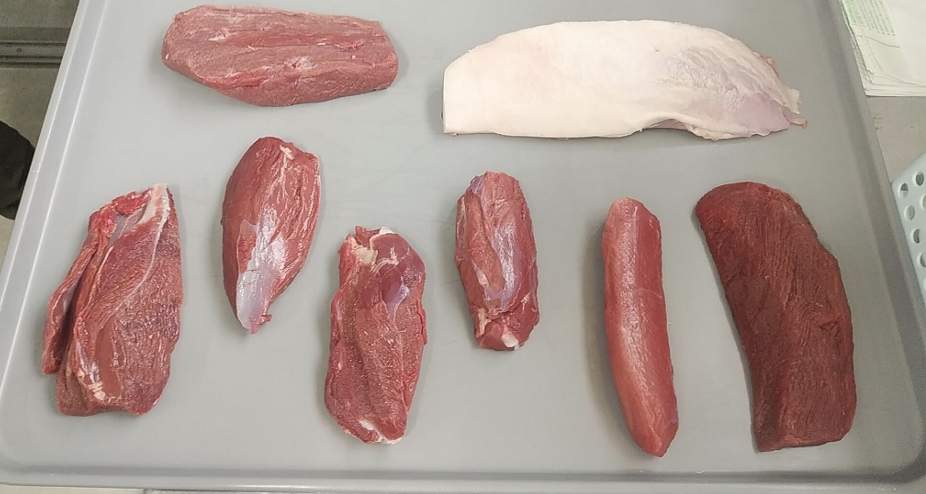 トレーに並べられたジビエ(鹿・猪)