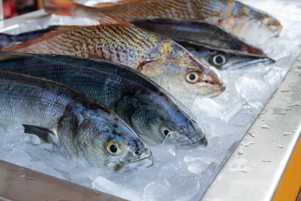 鮮魚