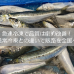 急速冷凍で品質は劇的改善！通常冷凍の違いで販路を全国へ