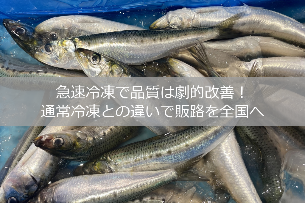急速冷凍で品質は劇的改善!通常冷凍の違いで販路を全国へ