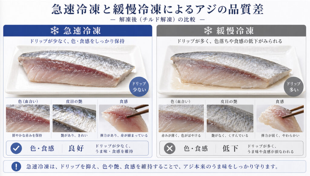 急速冷凍と緩慢冷凍でアジのドリップ、血合いの色、食感が変わる比較図