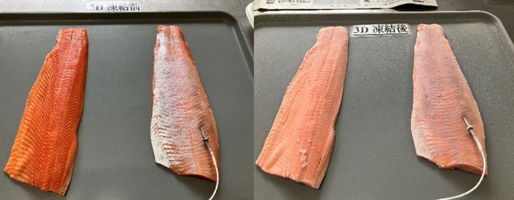 左に未冷凍の鮭、右に急速冷凍後の鮭