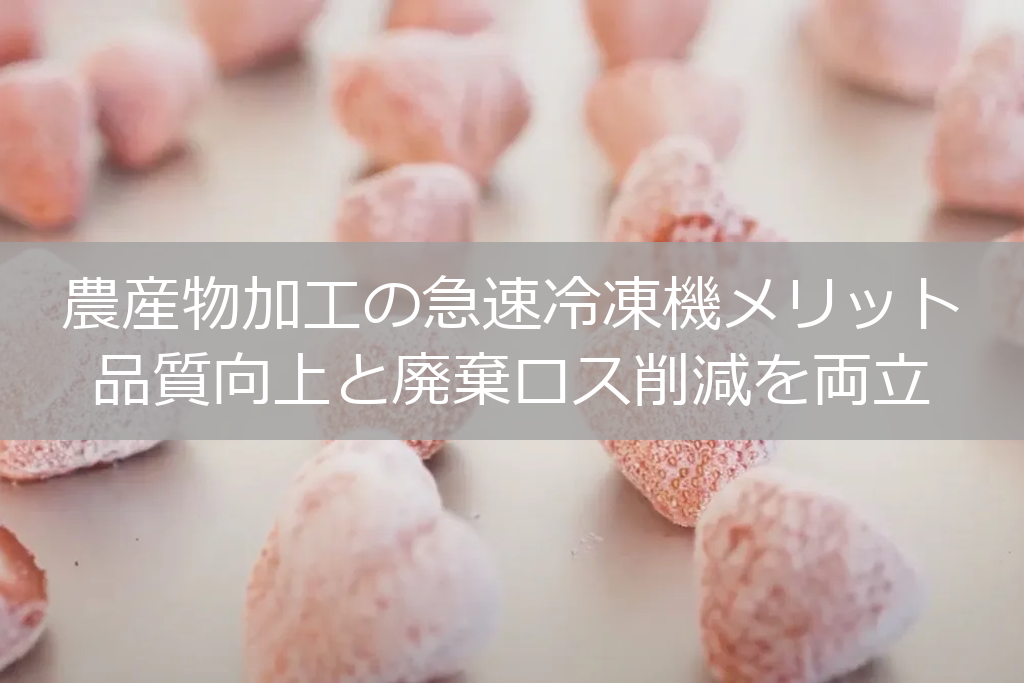 トレーの上に急速冷凍された沢山のいちご