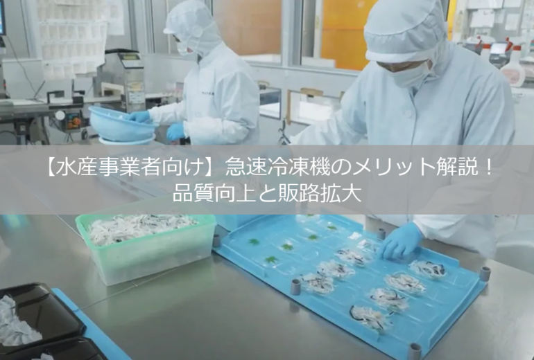 【水産事業者向け】急速冷凍機のメリット解説！品質向上と販路拡大