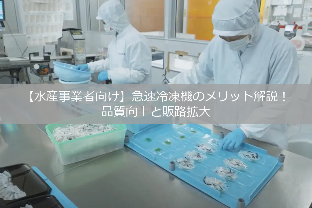 水産加工現場で作業している様子