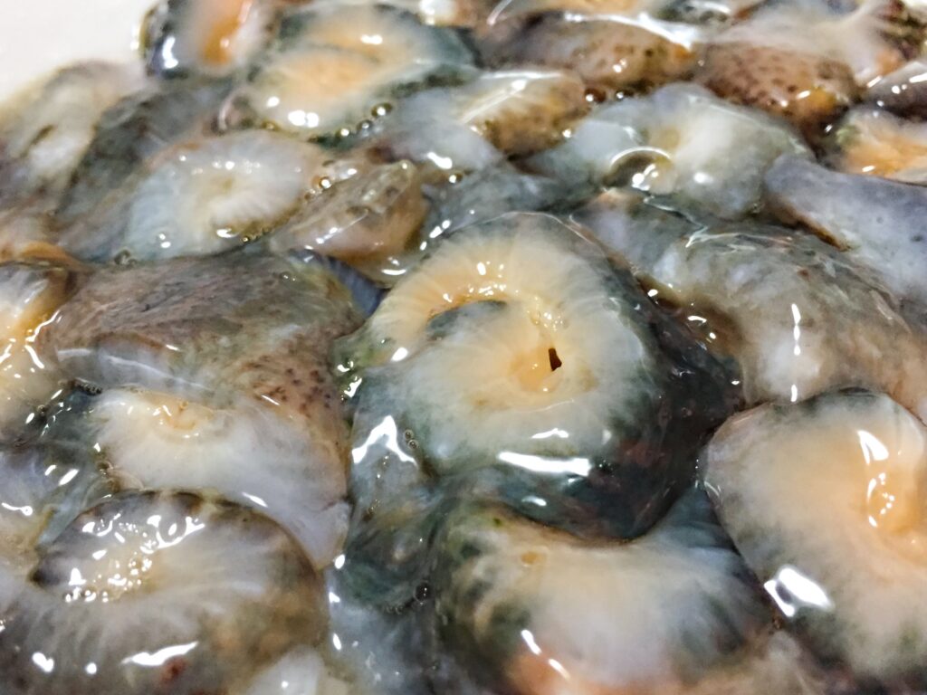 画面いっぱいの青なまこ