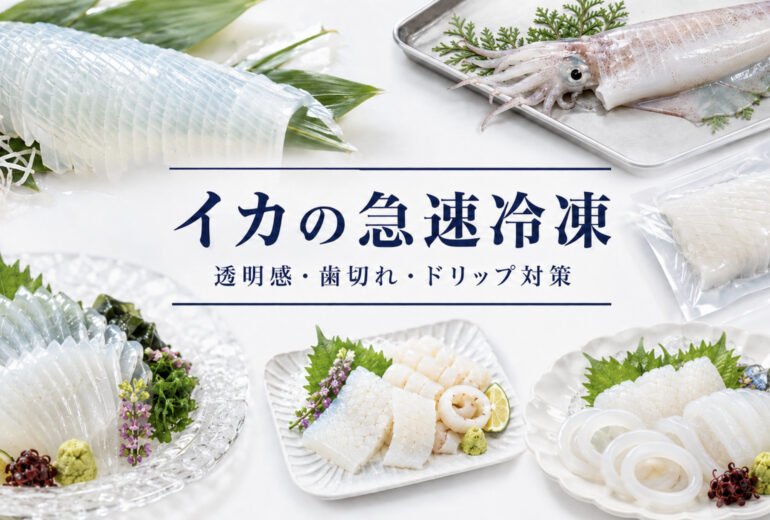 イカの刺身用、イカそうめん、輪切り、ECギフトを急速冷凍で品質確認する資料