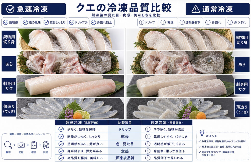 急速冷凍と通常冷凍でクエのドリップ、身割れ、透明感、皮目乾燥を比較した図