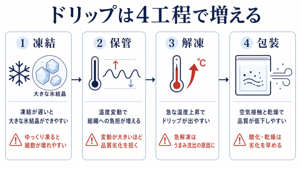 ドリップが出る原因を凍結保管解凍包装の4工程で示した図解