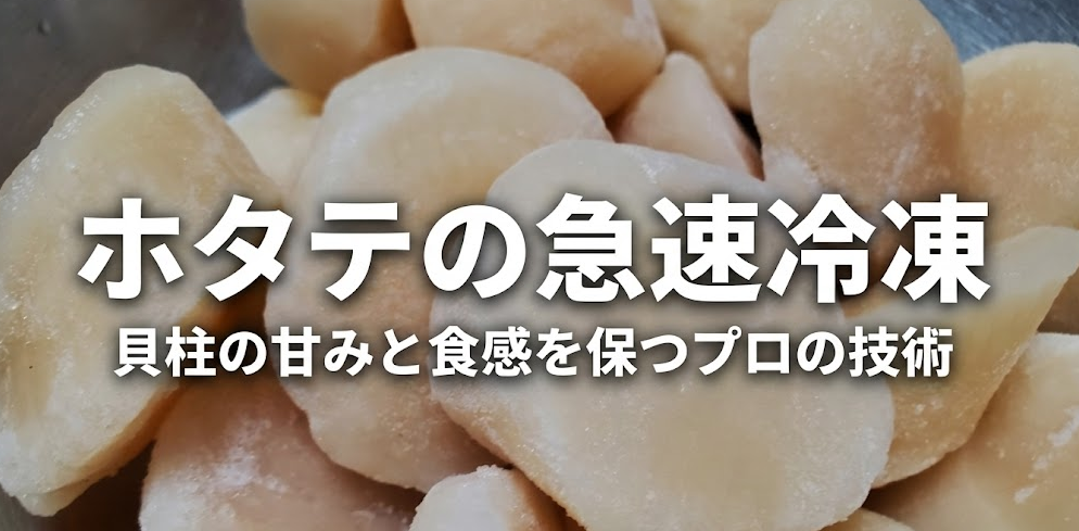 ホタテの急速冷凍｜貝柱の甘みと食感を保つプロの技術