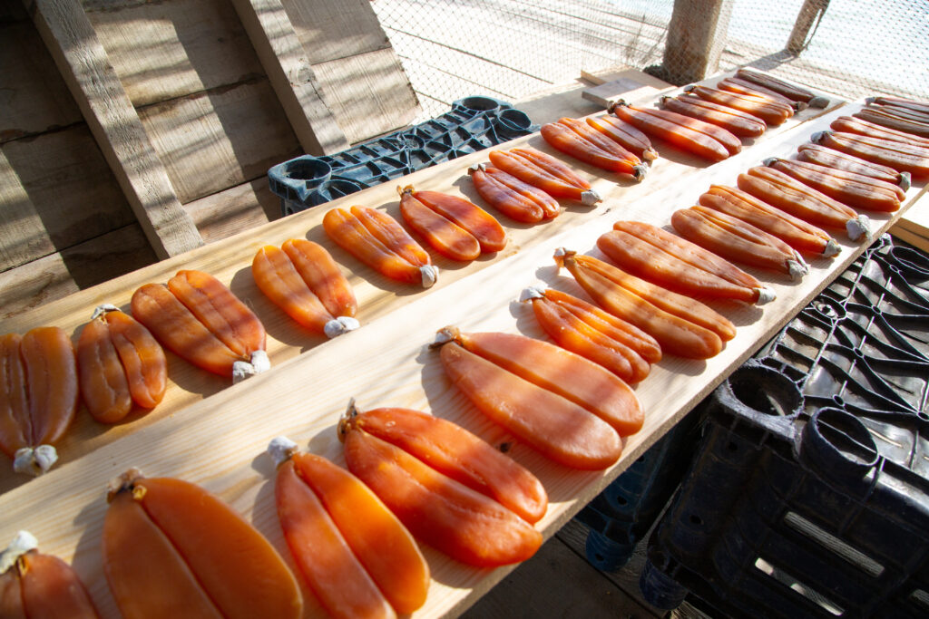 たくさんカラスミが並べられている様子