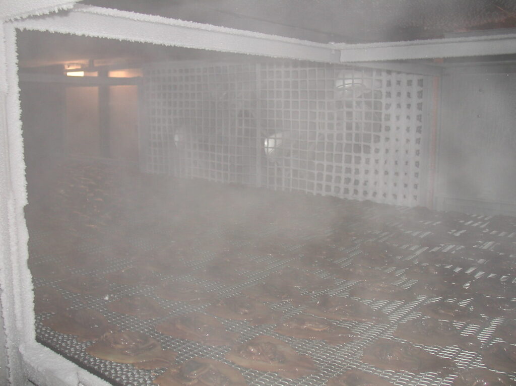 トンネルフリーザーの内部写真