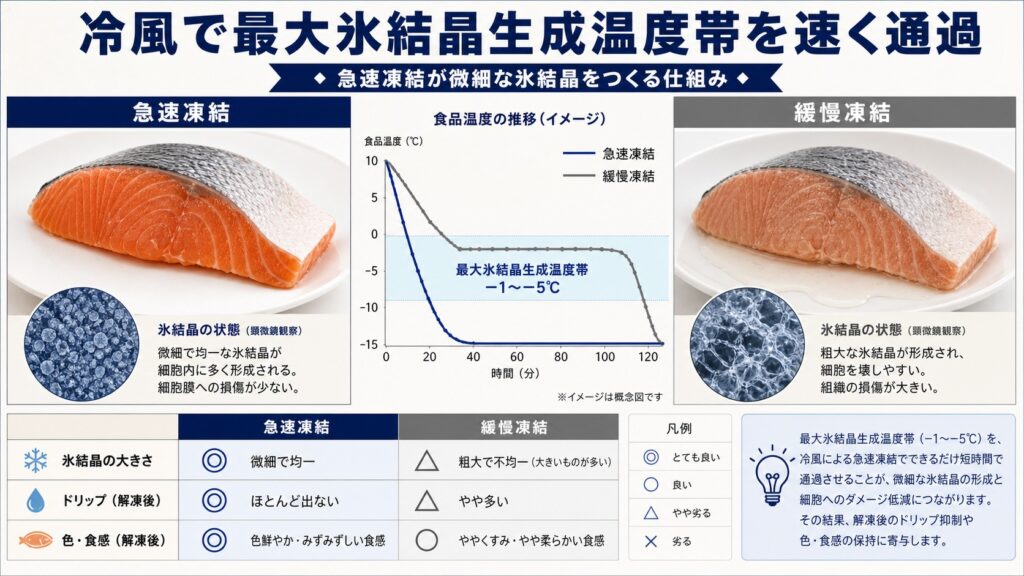冷風で食品の熱を奪い最大氷結晶生成温度帯を短時間で通過させて微細な氷結晶を作る仕組みの図解
