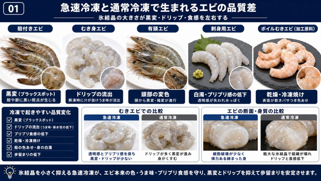 急速冷凍と通常冷凍によるエビ(殻付き・むき身・有頭・フライ用)の品質差