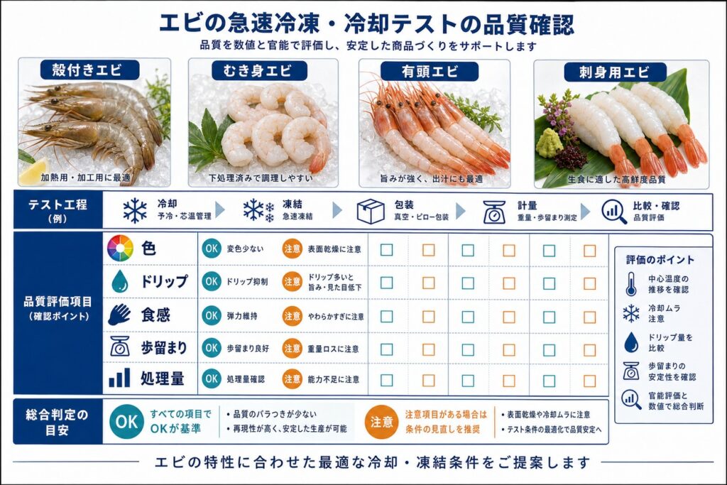 エビ(殻付き・むき身・有頭・フライ用)の冷凍・冷却テストの確認項目