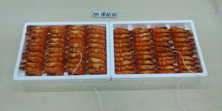 発泡スチールに綺麗に敷き詰められたエビ