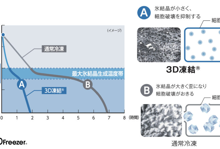 緩慢冷凍（通常冷凍）の急速冷凍の温度曲線と氷結晶の写真
