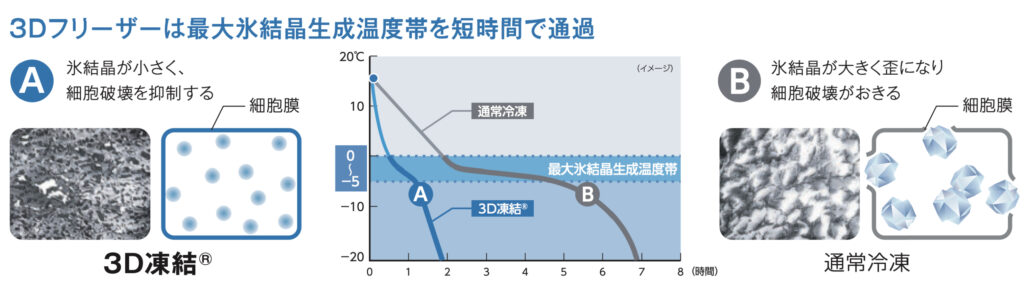 通常冷凍と急速冷凍の氷結晶の大きさの違い、品質劣化する理由