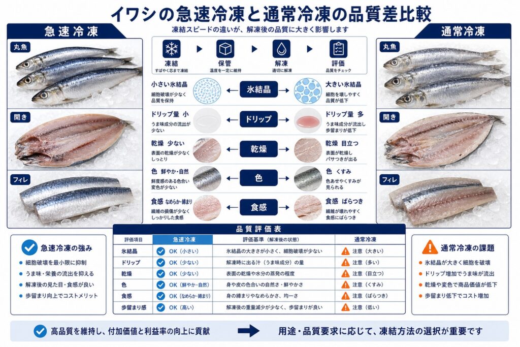急速冷凍と通常冷凍によるイワシ(丸魚・開き・フィレ)の品質差
