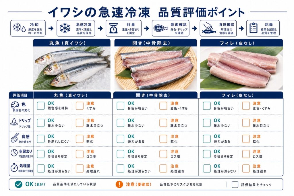 イワシ(丸魚・開き・フィレ)の冷凍・冷却テストの確認項目