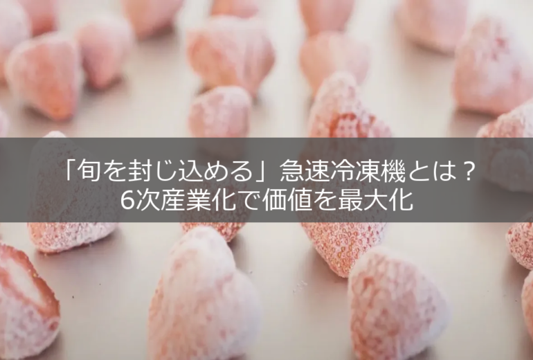 急速冷凍された大量のイチゴ