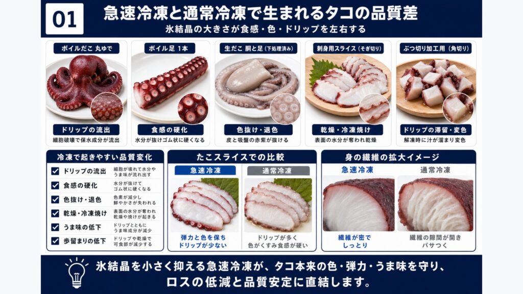 急速冷凍と通常冷凍によるタコ(ボイル・生・スライス・足)の品質差