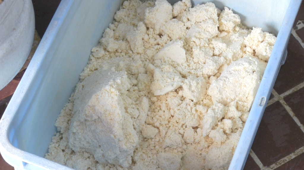 番重に入れられた大量のおから