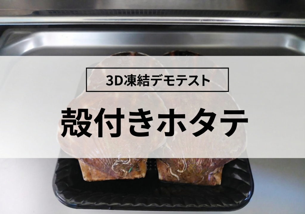 3D凍結デモテストに使用する殻付きホタテ（冷凍前）の写真
